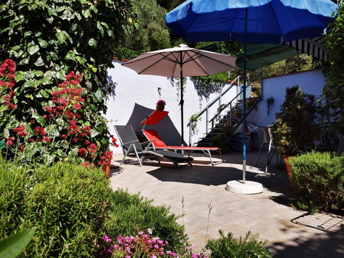 Sepcevic Apartment