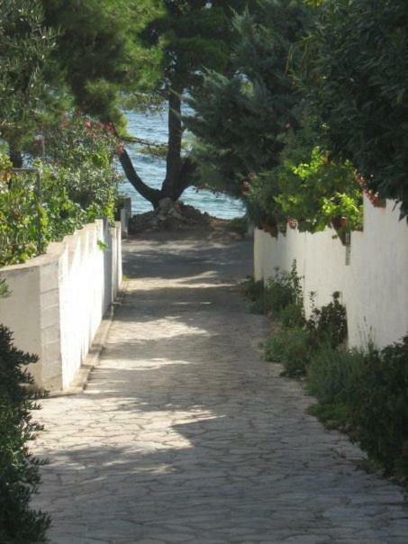Apartment Sepcevic