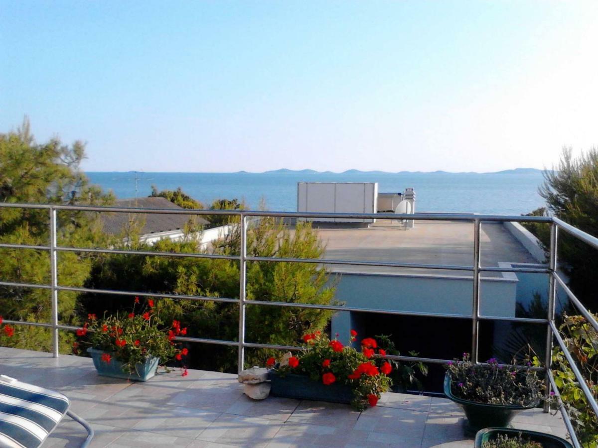 Apartment Sepcevic