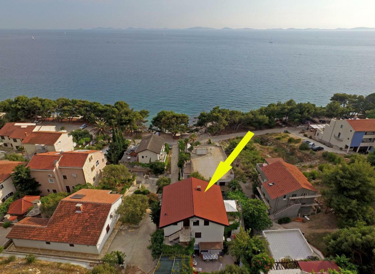 Apartment Sepcevic